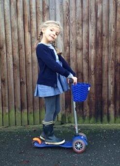 Micro Step Stepmandje Blauw -Hape || BIGJIGS || Goki Verkoopwinkel image 1257