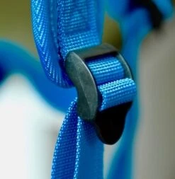 Micro Step Scootabagz Dino Tas -Hape || BIGJIGS || Goki Verkoopwinkel image 1445