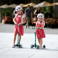 Micro Step Mini Micro Step Deluxe ECO Limited Edition 9 Micro Step Mini Micro Step Deluxe ECO Limited Edition -Hape || BIGJIGS || Goki Verkoopwinkel image 1591