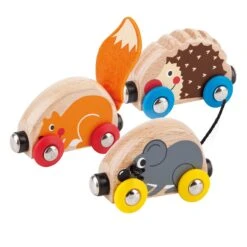 Hape Trein Met Bosdieren Tactile Animal Train
